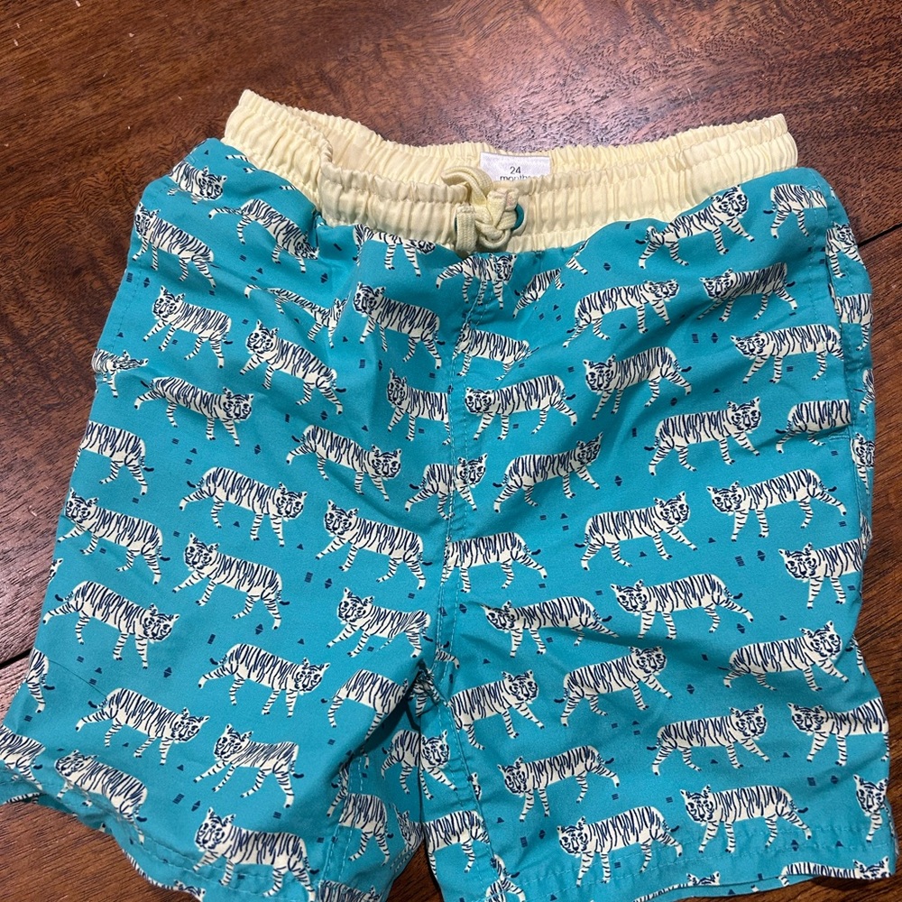 Kids Teal Tiger Print swim Shorts